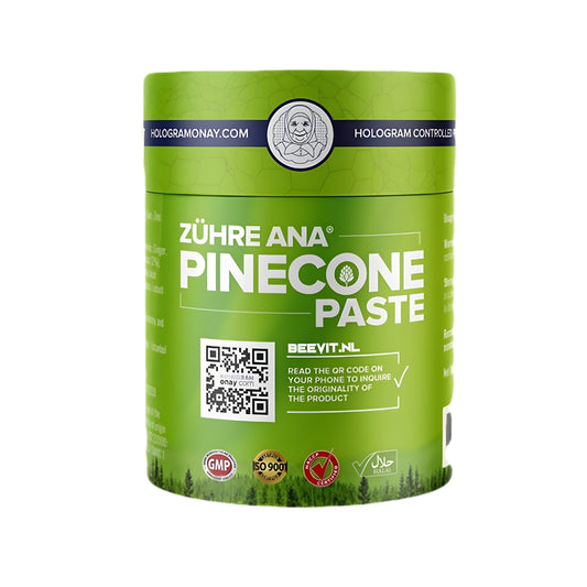 🌲Πάστα από κουκουνάρια πεύκου – για καθαρισμό των πνευμόνων και ενίσχυση του ανοσοποιητικού